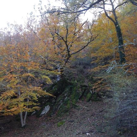 Alojamiento Rural Fuente del Arca  Pradena del Rincon Exterior foto