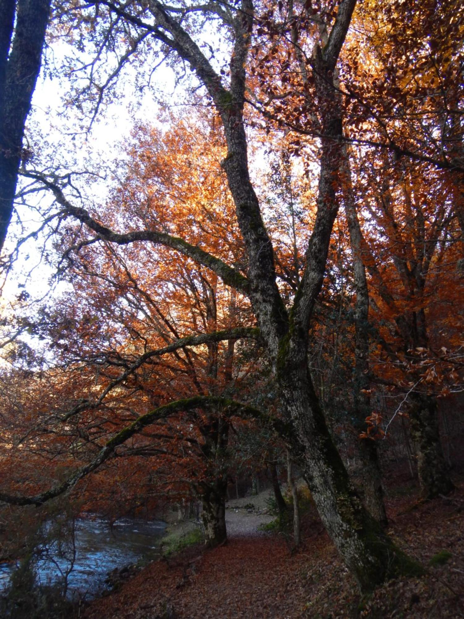 Alojamiento Rural Fuente del Arca  Pradena del Rincon Exterior foto